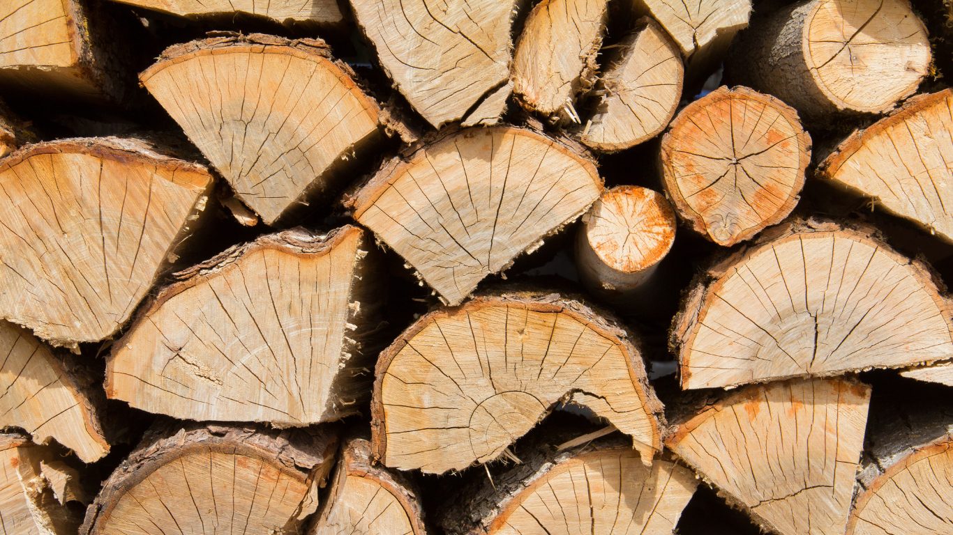 Oak